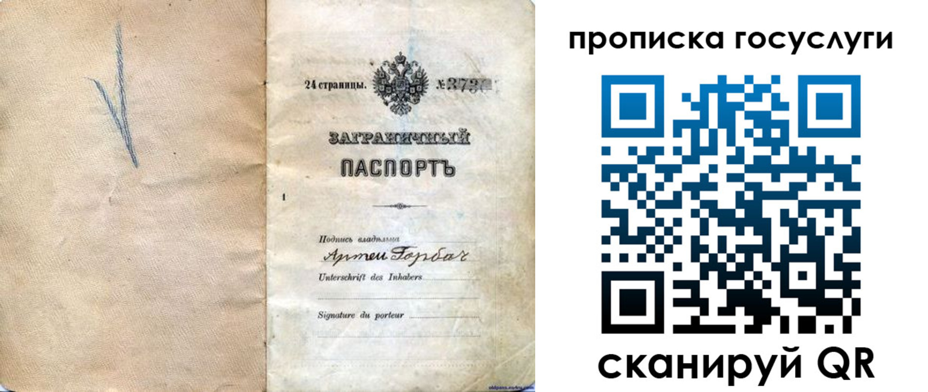 прописка законно в Александровске